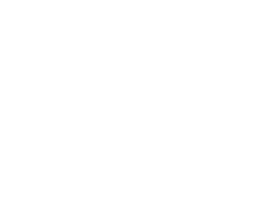 wittycookie white logo
